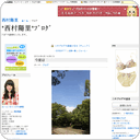 今度は
