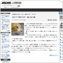 炎天下で伸びる!?　城ヶ島の猫