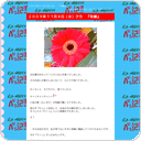 ２００９年１１月４日（水）夕方　『有線』