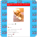 ２００９年１１月７日（土）夕方　『トゥギャトゥギャ』